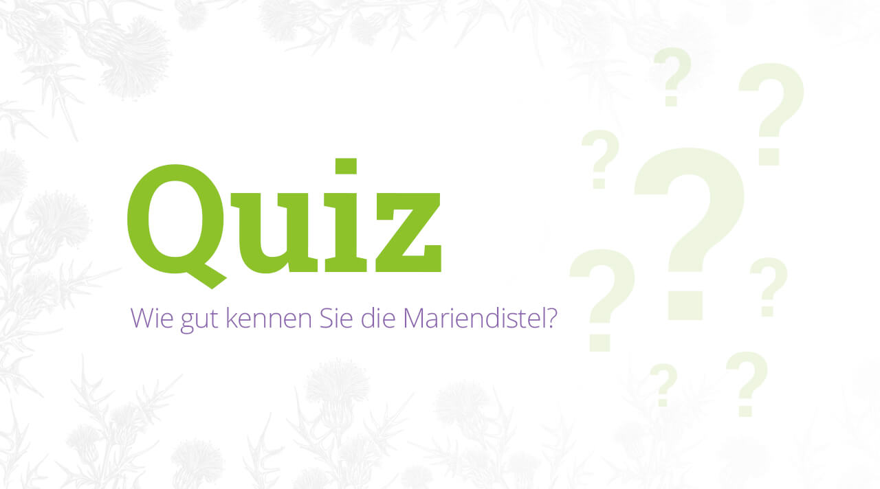 Testen Sie Ihr Wissen über Mariendistel in unserem einfachen Quiz.